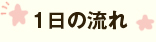 1日の流れ